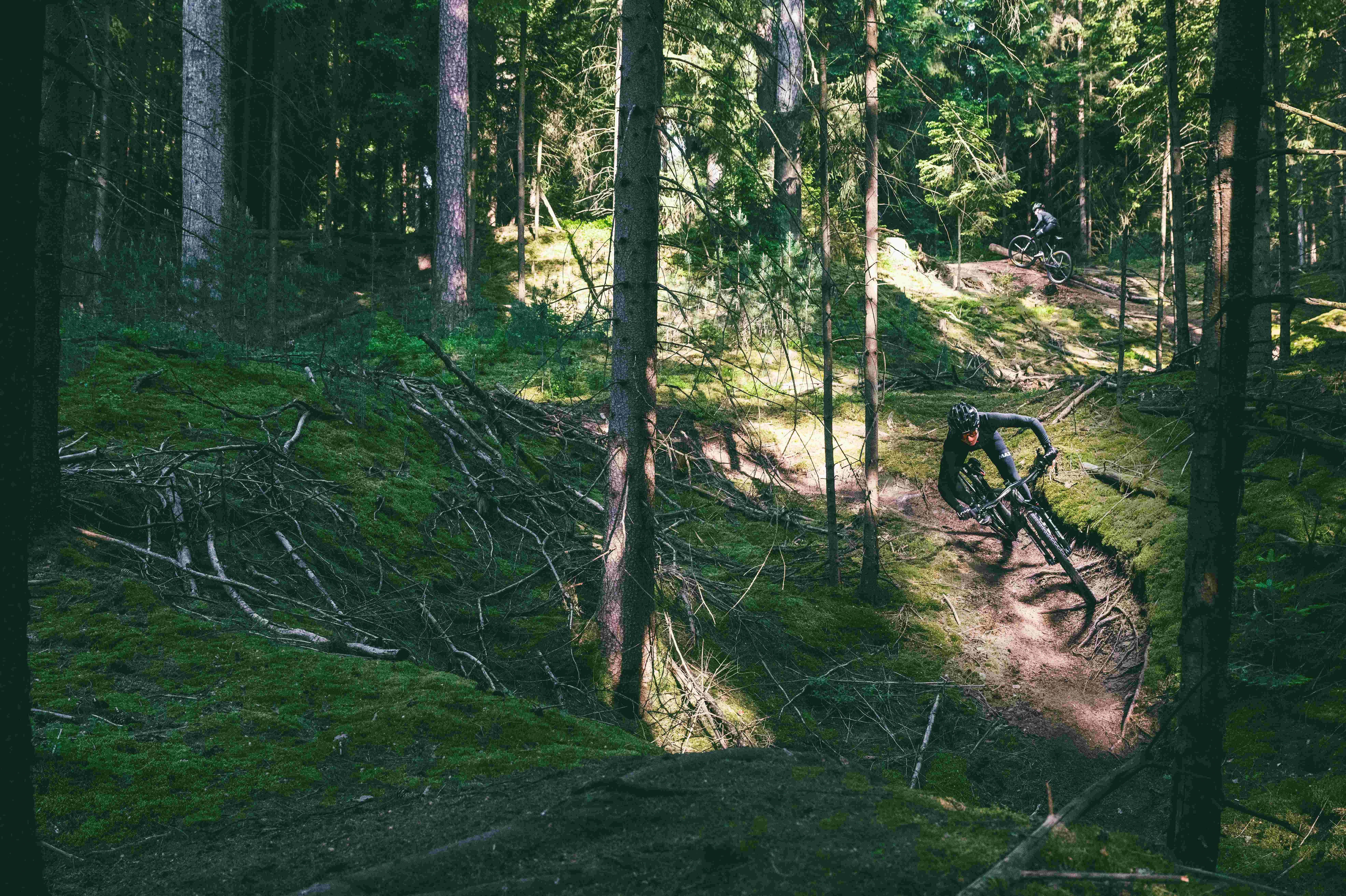 GHOST_Lector_30_Green_Forest_Rider_Cross_Country